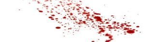 Blood stained bed sheets.