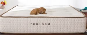 The Real Bed Mattress.