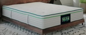 The Eden Mattress Without Fiberglass.