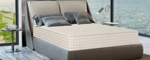 The Botanical Bliss Organic Latex Mattress.