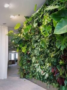 Indoor living green wall featuring lush tropical plants, including monstera and philodendron, creating a natural vertical garden in a modern interior.