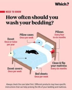Infographic showing how often to wash bedding, including bed sheets, pillowcases, duvet covers, duvets, pillows, and mattress maintenance for better sleep hygiene.
