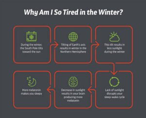 Infographic explaining why people feel more tired during winter, showing how shorter daylight hours increase melatonin production and disrupt the body's circadian rhythm.