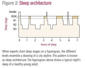 Sleep architecture hypnogram showing the progression through REM and non-REM sleep stages (N1, N2, and N3) over a typical seven-hour night's sleep.