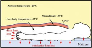 Scientific diagram showing body temperature regulation during sleep, including core body temperature, bedding microclimate, conductive heat loss through the mattress, and heat loss from the hands.